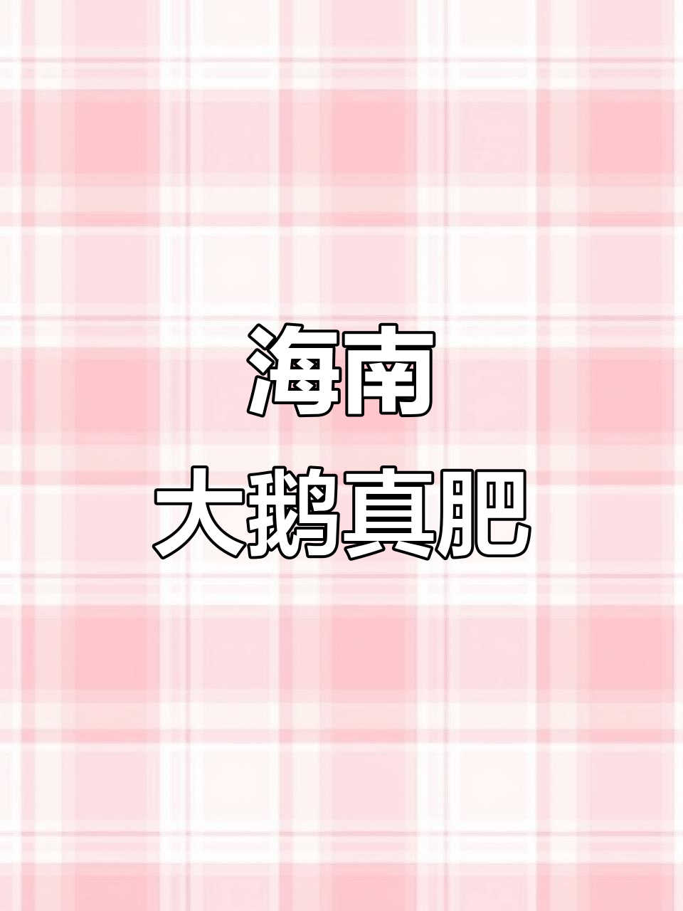 海南大鹅肥美,现场实拍!