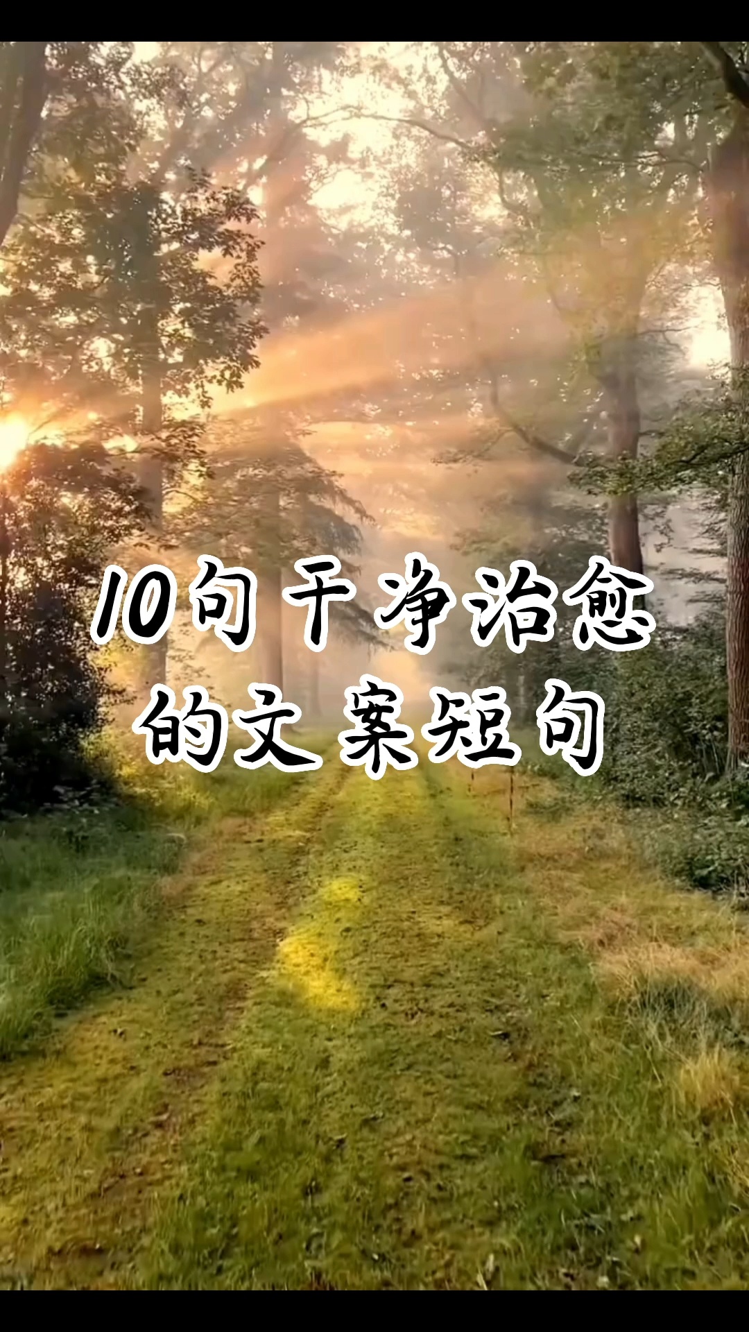 10句干净治愈的文案短句