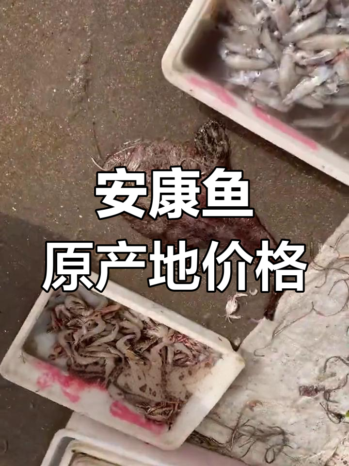 安康鱼价格大揭秘,海边渔民的良心价是多少?