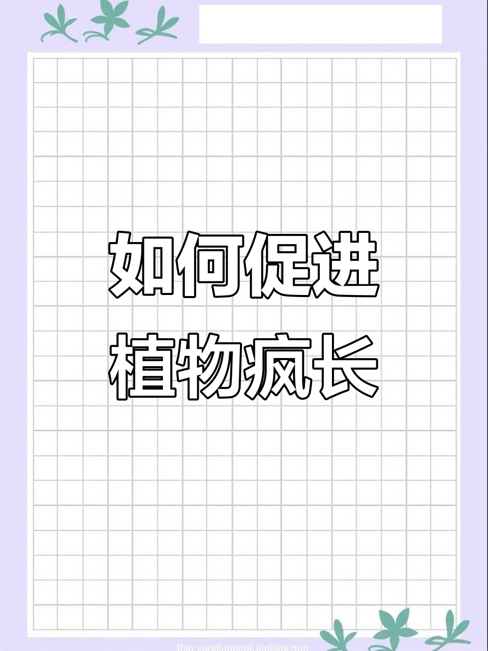 绿鹅和龟背竹如何用肥快速生长,新手必看技巧