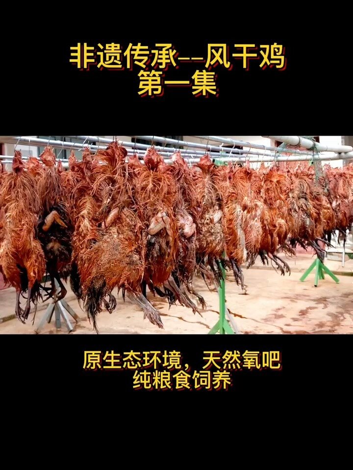 非遗传承—制作毛风鸡