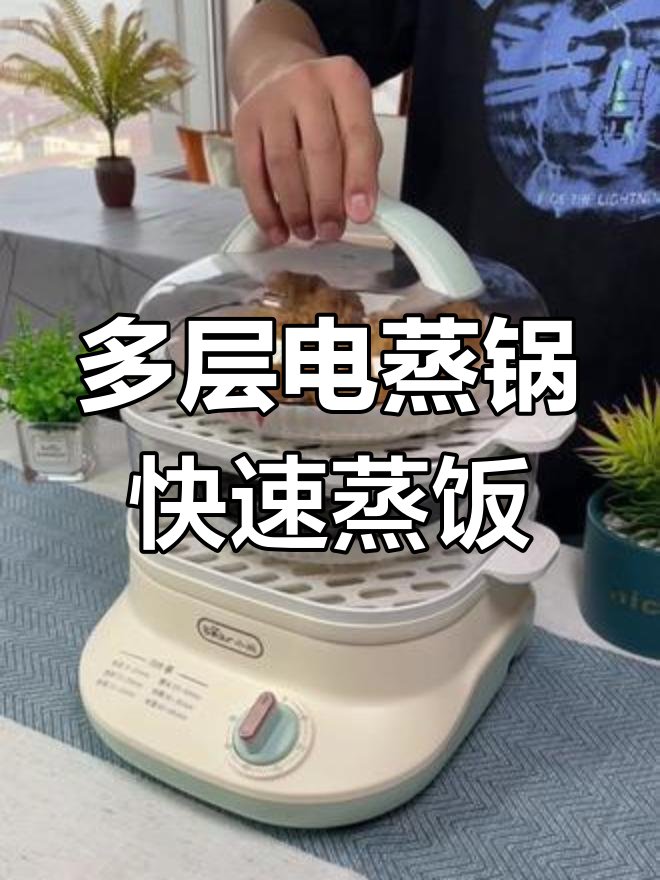 双层电蒸锅,早餐轻松搞定,蒸汽高效不串味