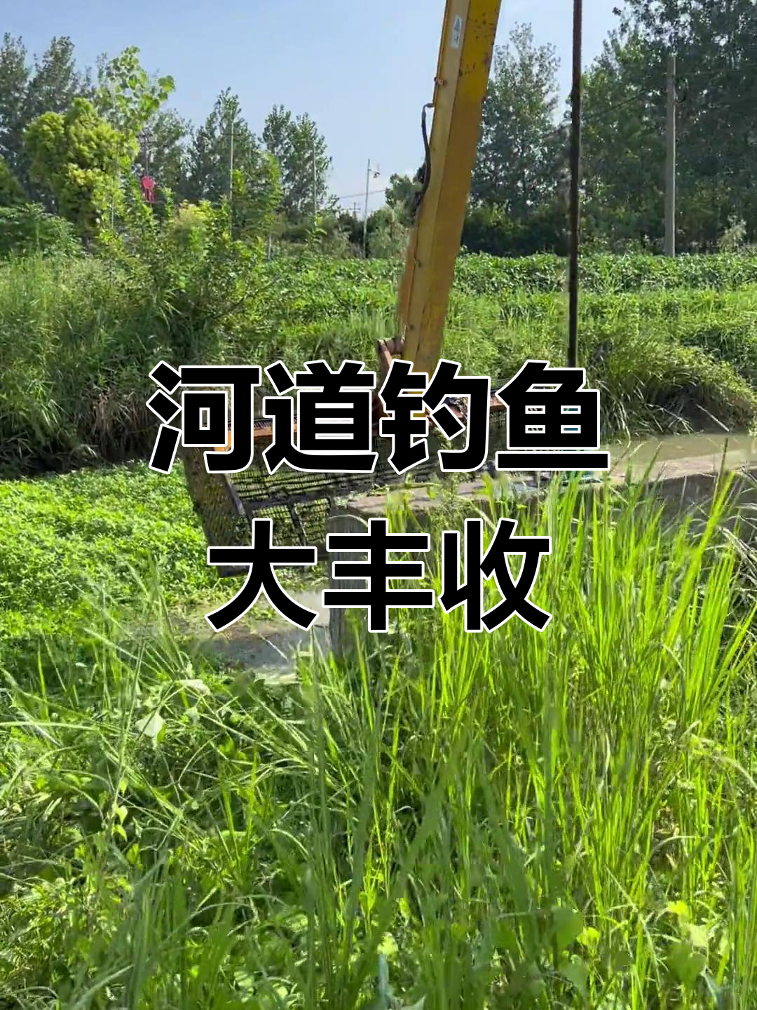 下午钓沟鱼,品种丰富收获多