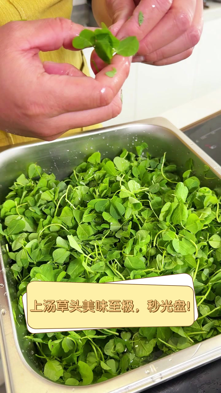 上汤草头美味至极,秒光盘!