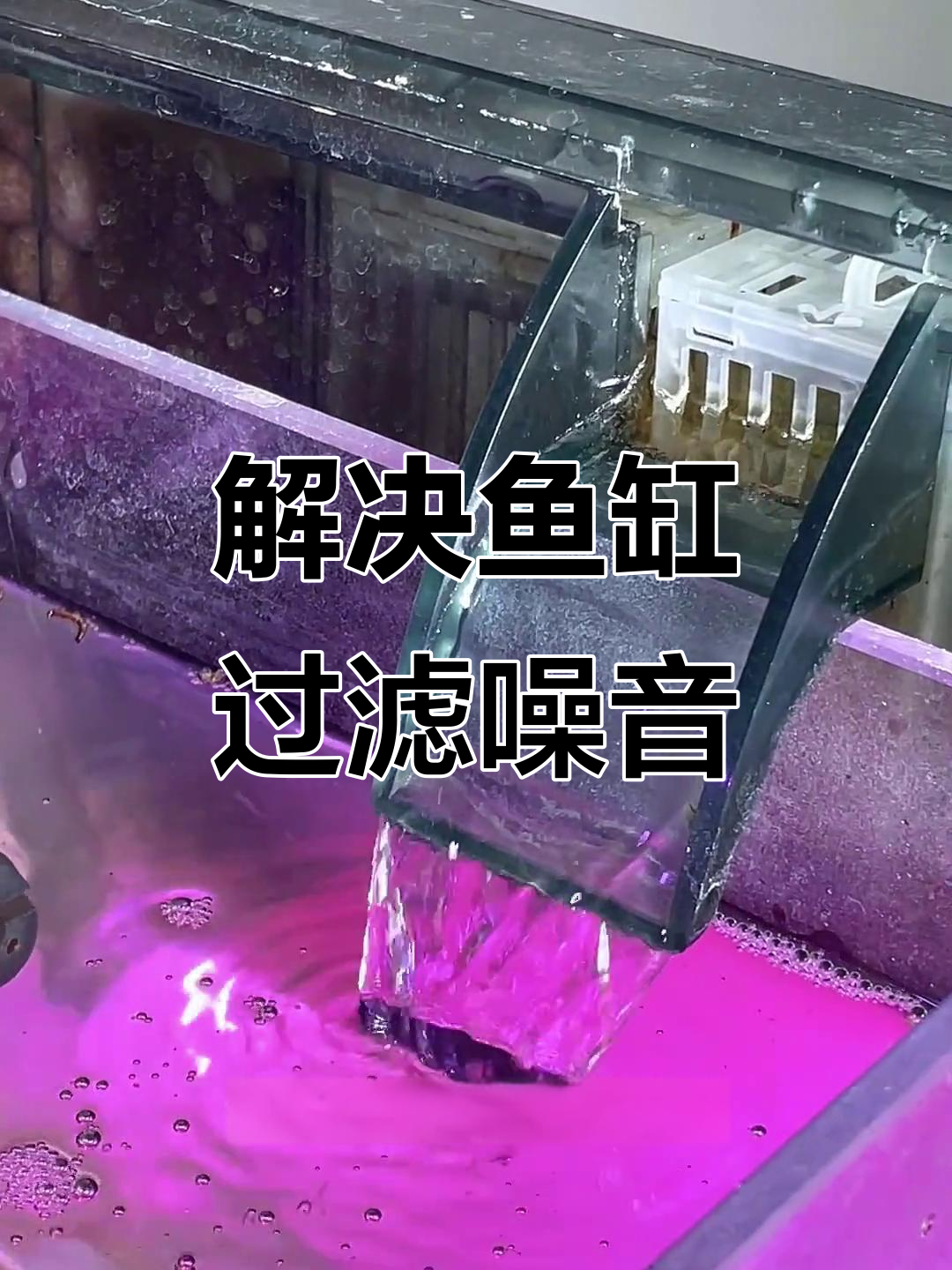 鱼缸过滤器噪音大?教你一招轻松解决