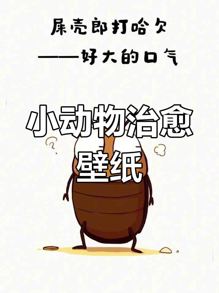 萌宠治愈系壁纸,可爱小动物陪你度过每一天