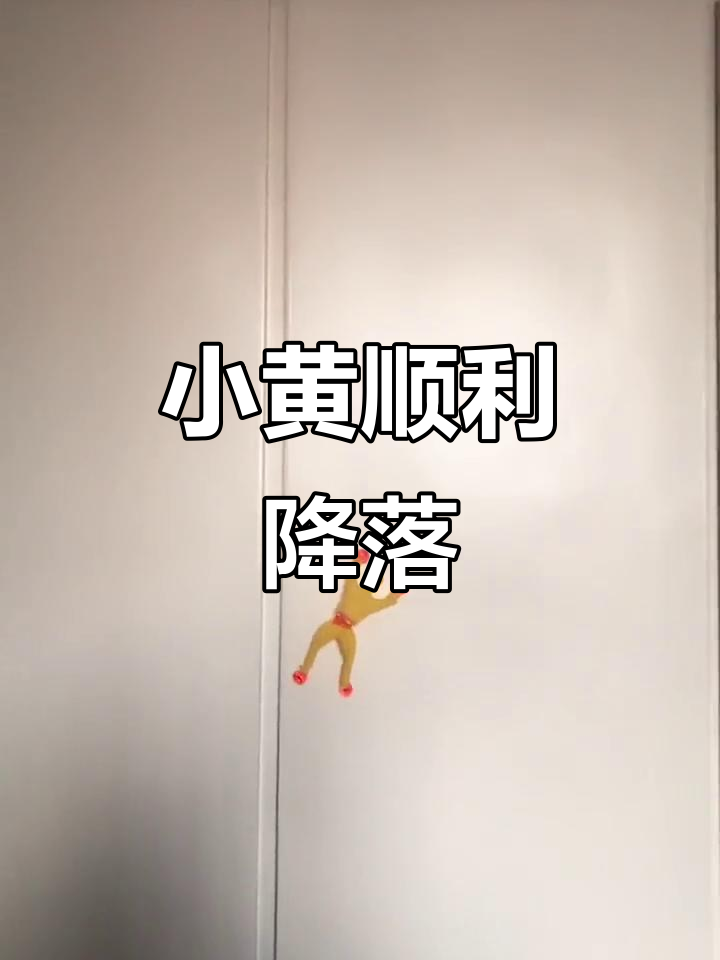 小黄成功着陆,大伯的画作太搞笑了!