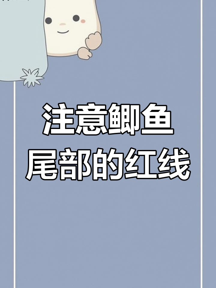 鲫鱼尾巴红血丝是寄生虫引起