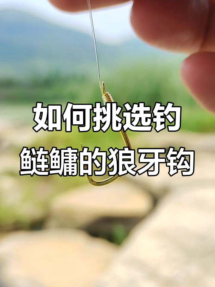 钓鲢鳙必备鱼钩,选对类型轻松中鱼
