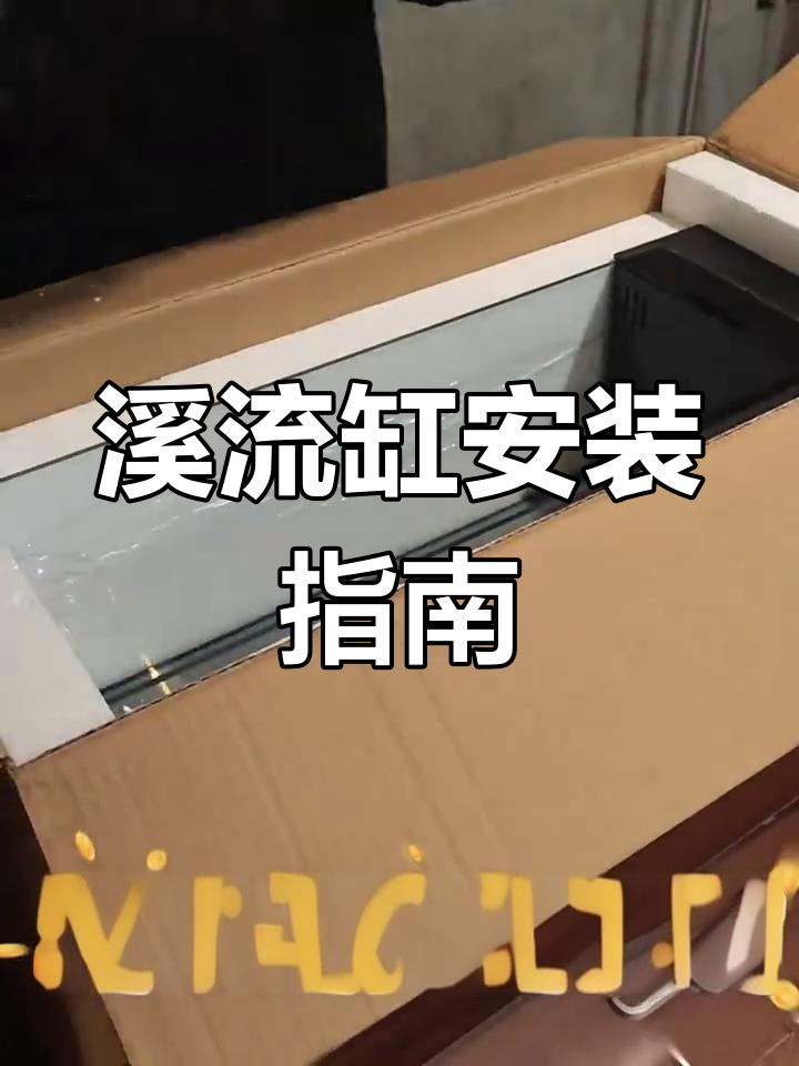 溪流缸全攻略:轻松打造自然水族环境