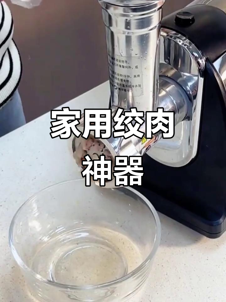 家用绞肉机,大容量不锈钢,轻松处理馅料与菜