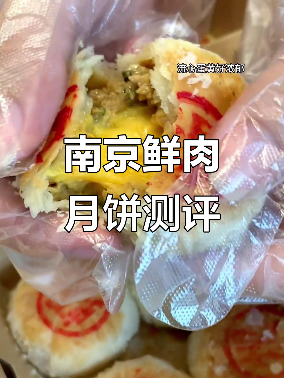 南京泸溪河鲜肉月饼，吃上一口就停不下来！