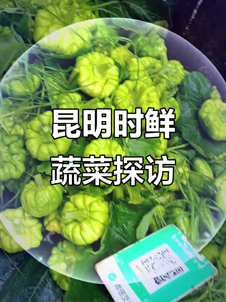 昆明新鲜蔬菜大揭秘:黄瓜、毛瓜和茄子一网打尽