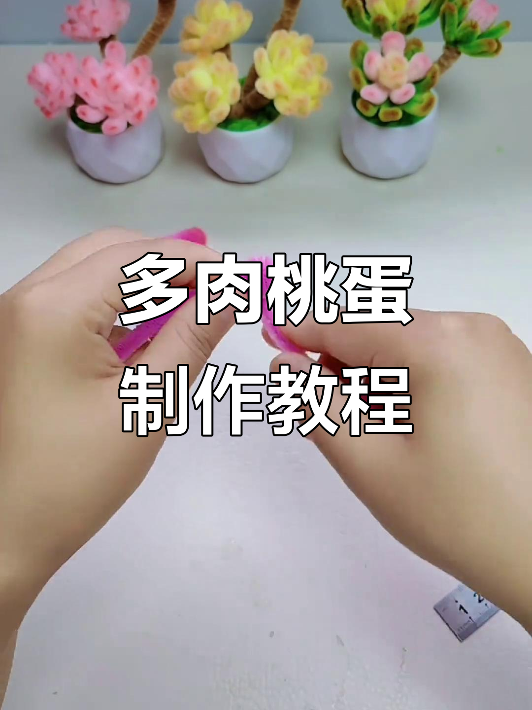 扭棒多肉小盆栽教程,打造可爱桃蛋造型