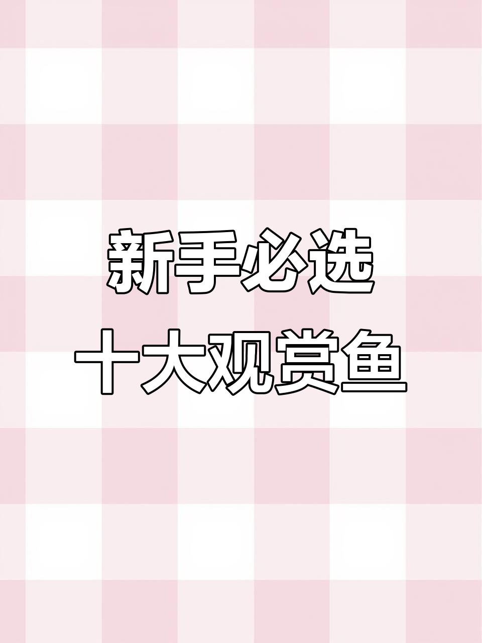 适合新手养的十大观赏鱼，皮实好养又美丽