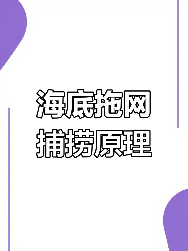 海南拖网捕鱼揭秘:如何用渔网捕捉海中宝藏