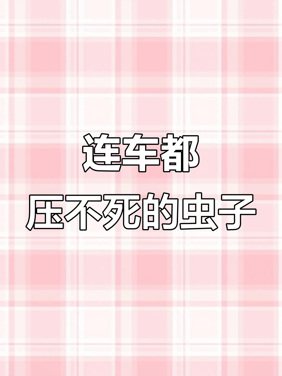 恶魔铁甲虫:能扛得住汽车碾压的神奇虫子