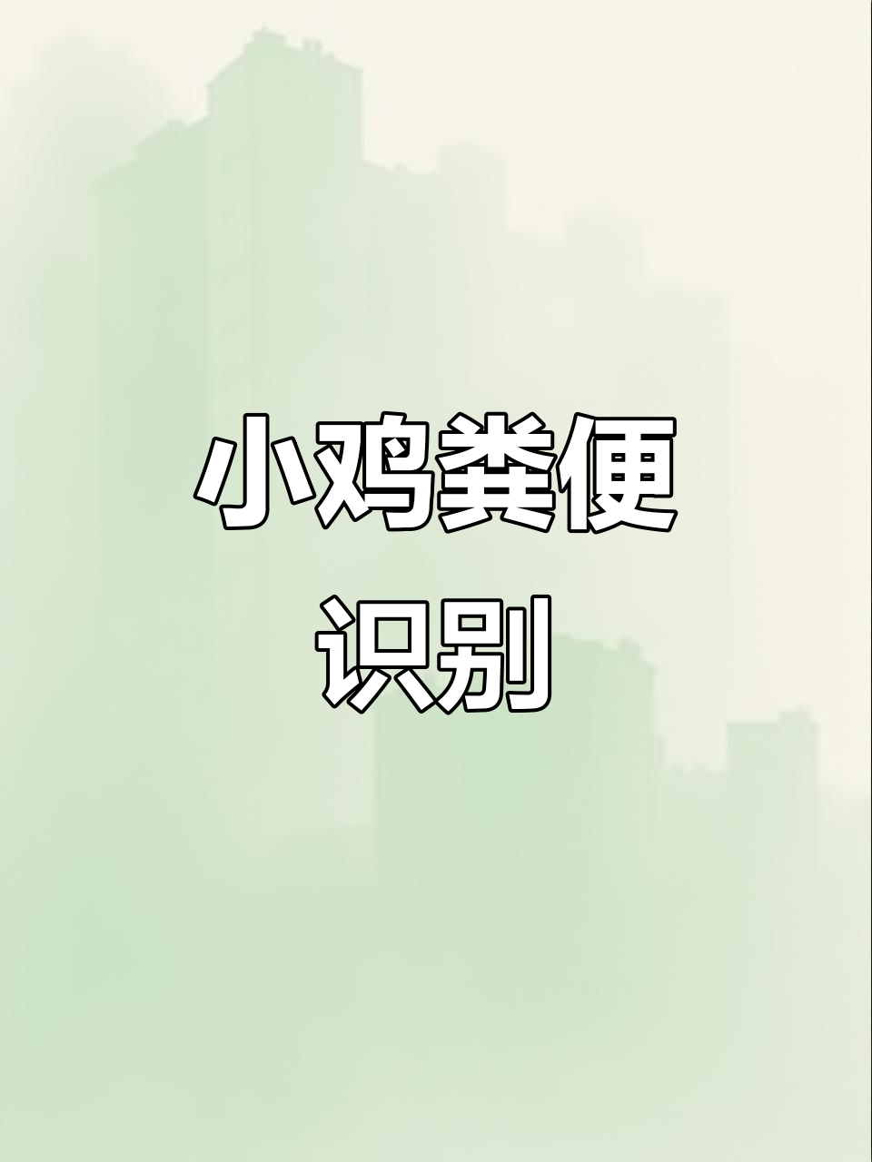 小鸡粪便观察:正常与异常的区别