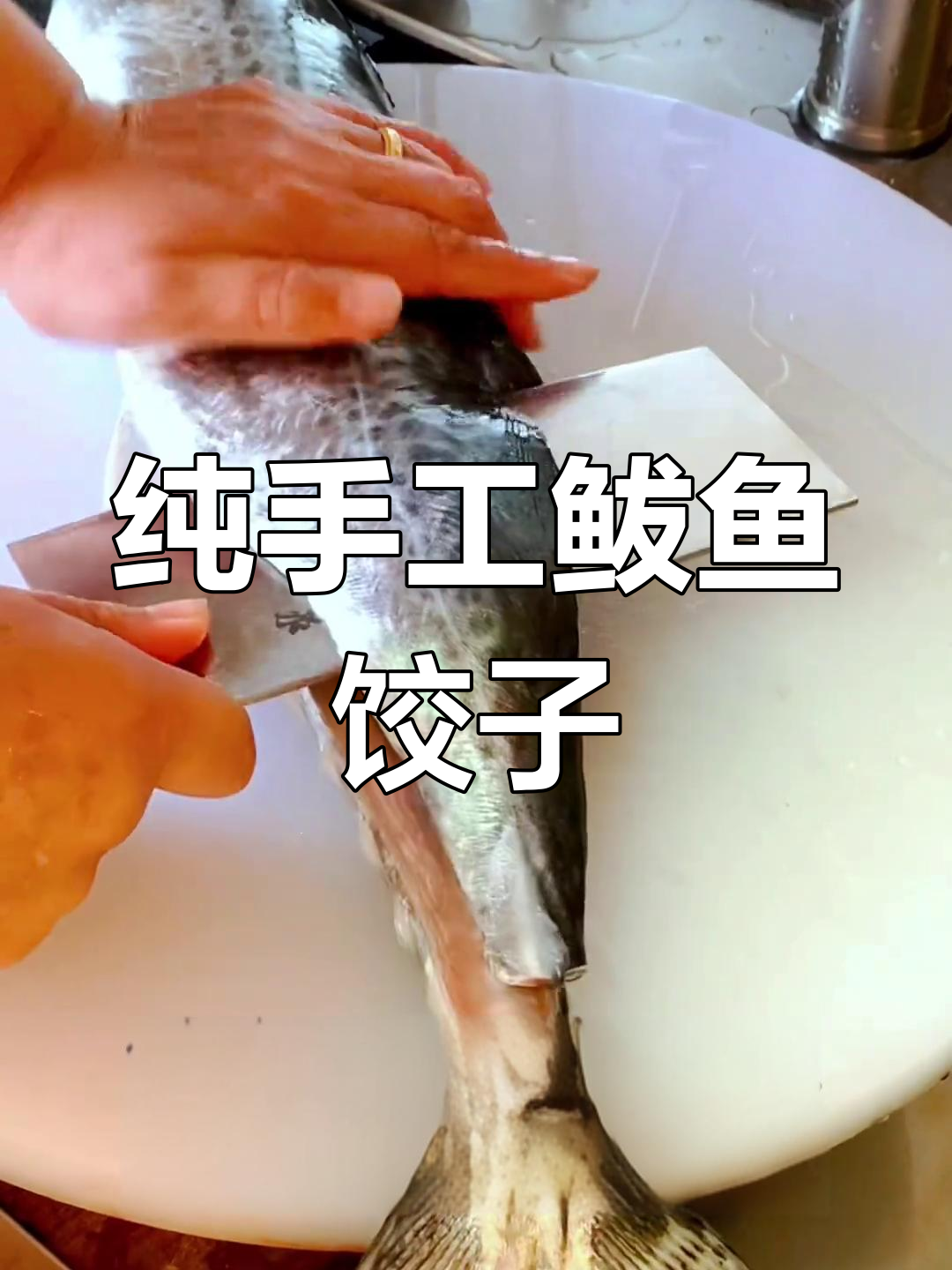 新鲜鲅鱼手工水饺做法