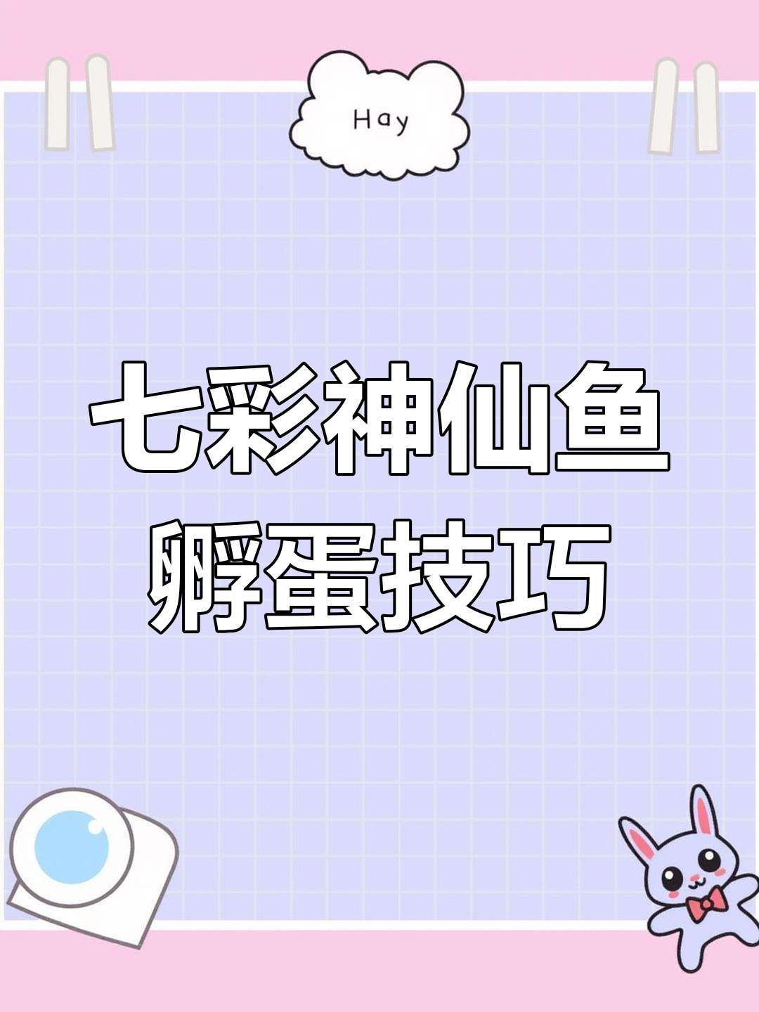 七彩神仙鱼产卵后如何操作?从孵化到起飞全攻略