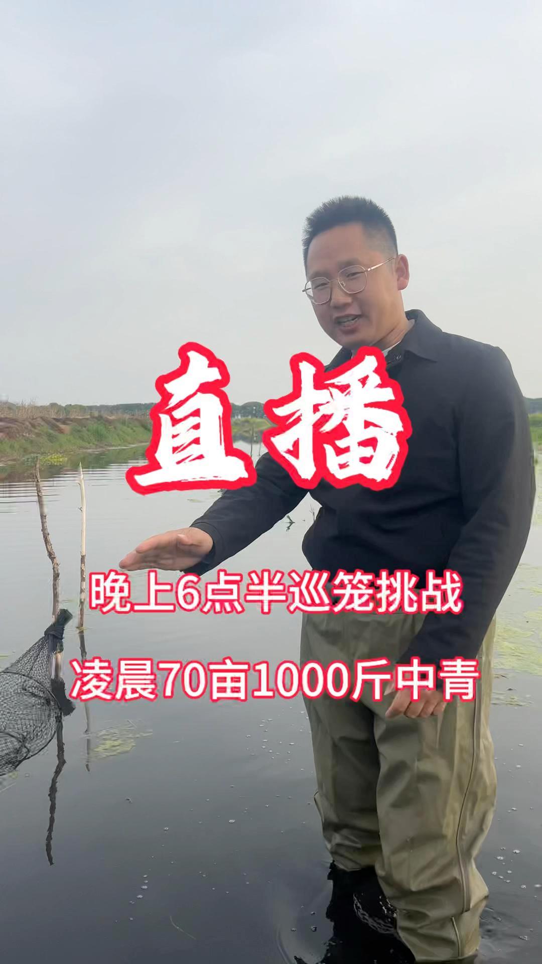 巡笼直播70亩挑战抓1000斤中青小龙虾 15天出中青的9810 多多虾谈9810 多多虾