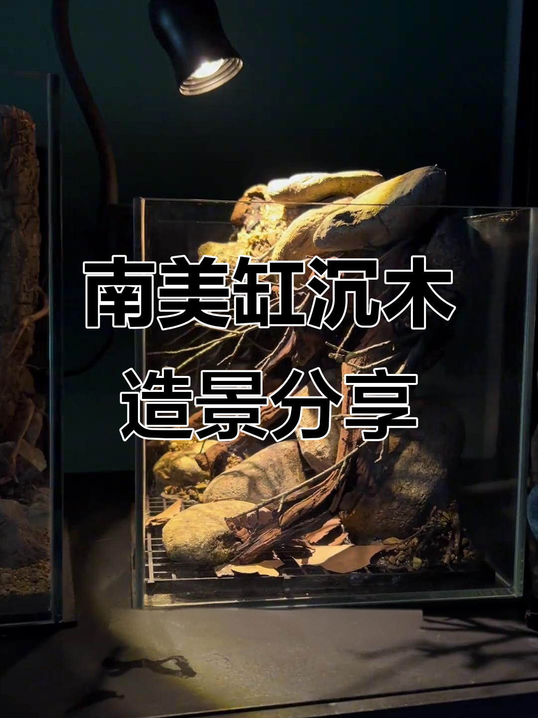 岩壁与溪流风格南美缸造景,细节满满超自然