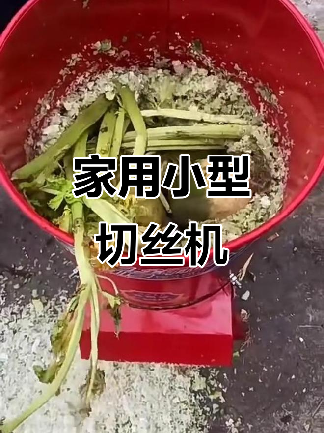 小型家用瓜果蔬菜切丝机,轻松搞定厨房工作