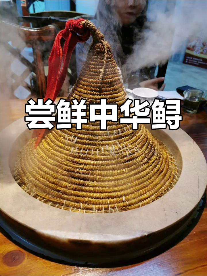 第一次尝试中华鲟,人工饲养的98元一斤