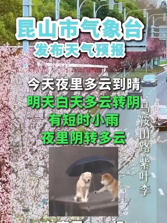 3月10日,昆山市气象台发布天气预报:明天白天多云转阴有短时小雨,夜里阴转多云。最高气温: