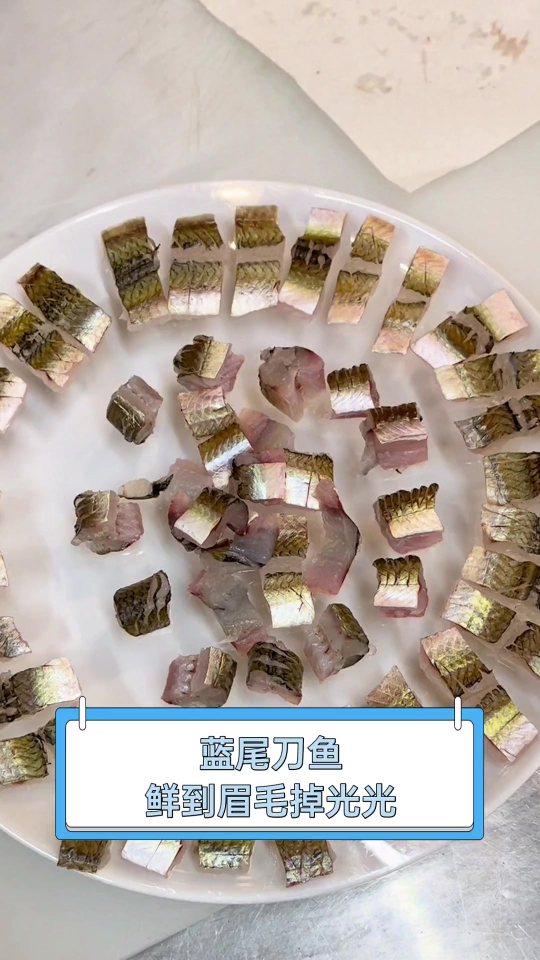 蓝尾刀鱼,鲜到眉毛掉光光