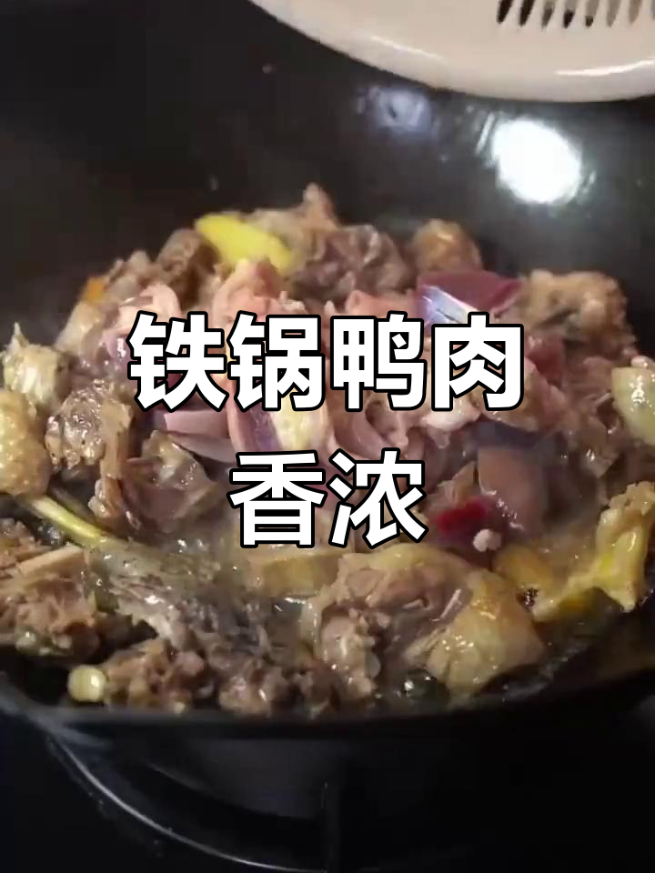 铁锅炖鸭肉,香气四溢,下饭好菜