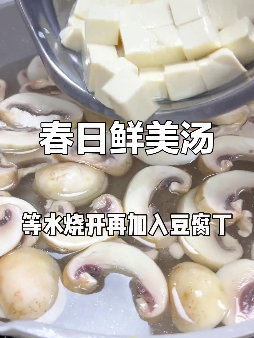 春季鲜汤,虾仁豆腐与菌菇完美搭配,低卡又美味!