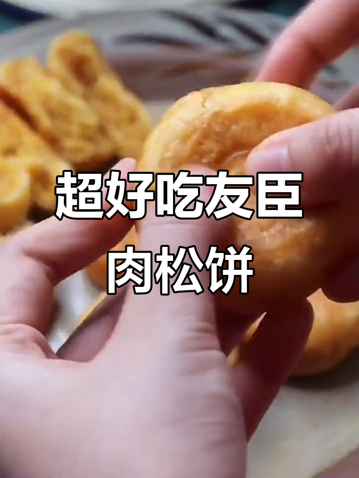 友臣肉松饼:一口爆表,营养又好吃的休闲小吃