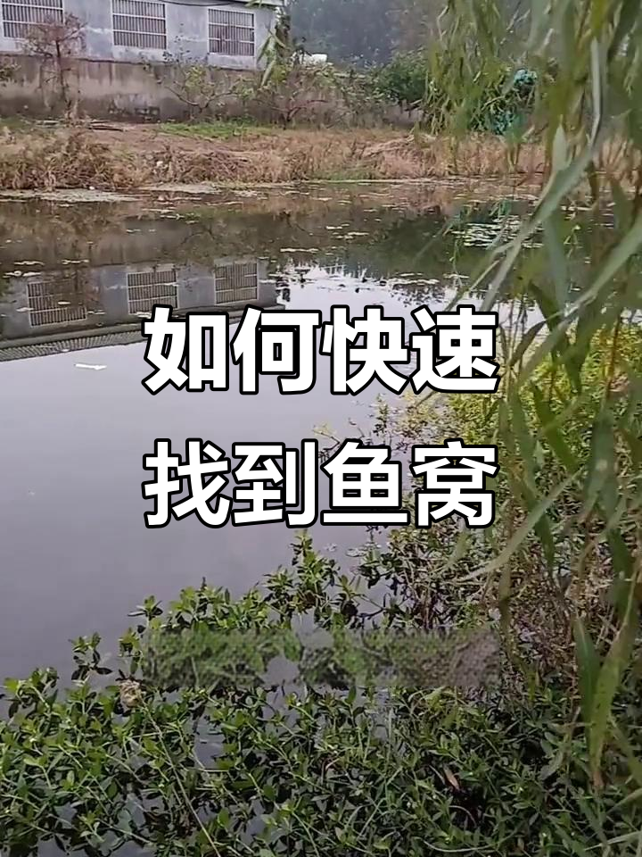 找鱼窝的三大技巧,轻松钓获
