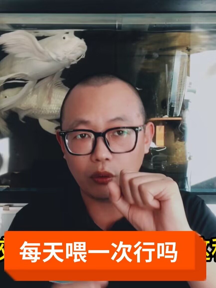 金鱼每天只喂一次可以吗?