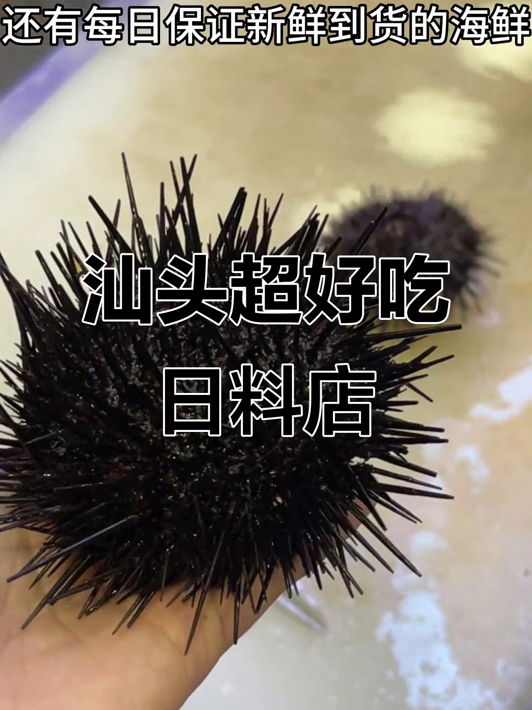 汕头这家日料店,烤鳗鱼鲜美无比,海鲜拼盘必试!