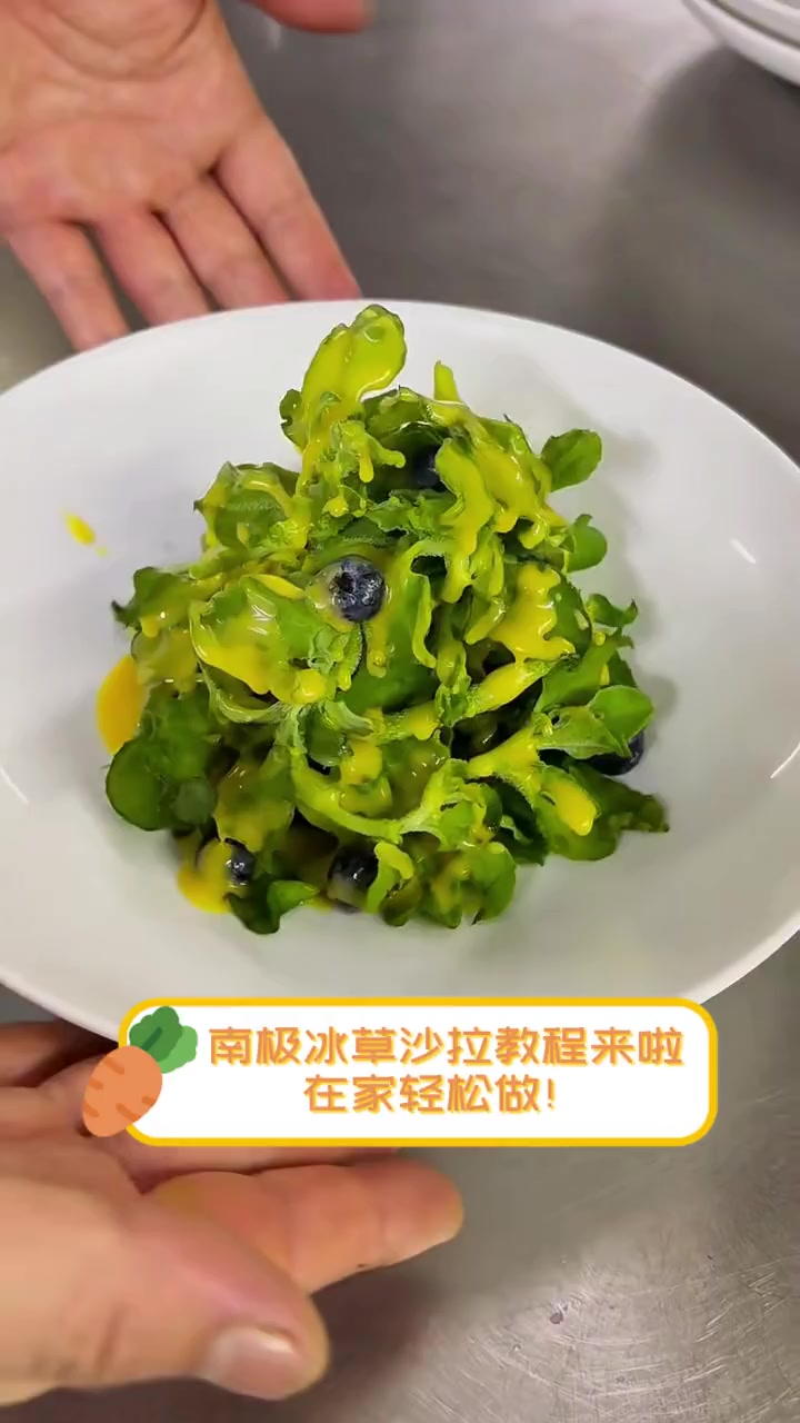 南极冰草沙拉教程来啦,在家轻松做!