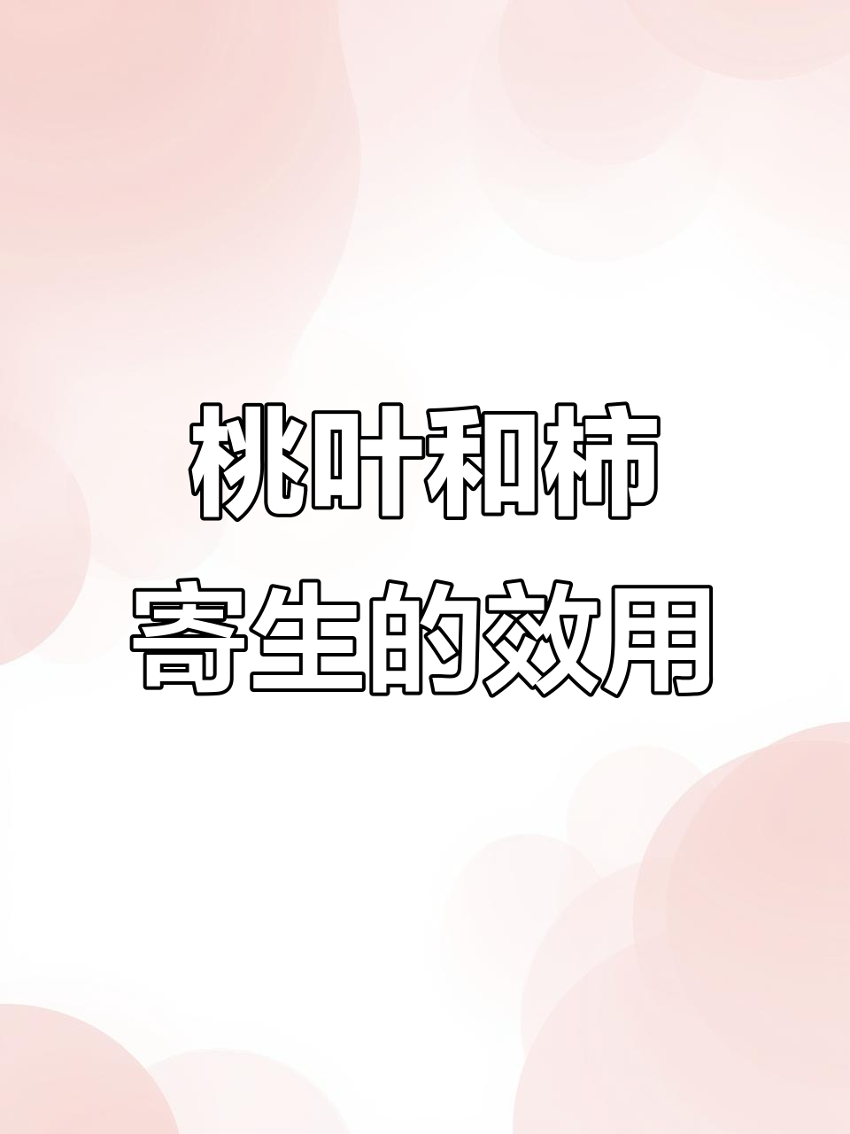 桃树叶与柿子树寄生:功效与作用全解析