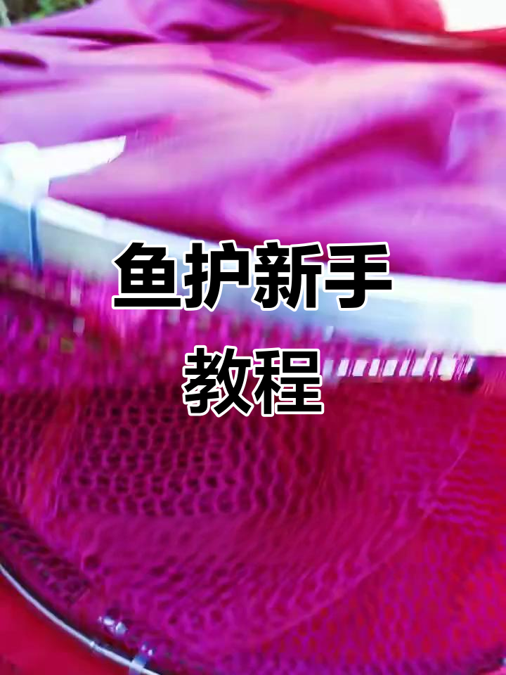 新手必看!鱼护使用指南,轻松掌握钓鱼技巧