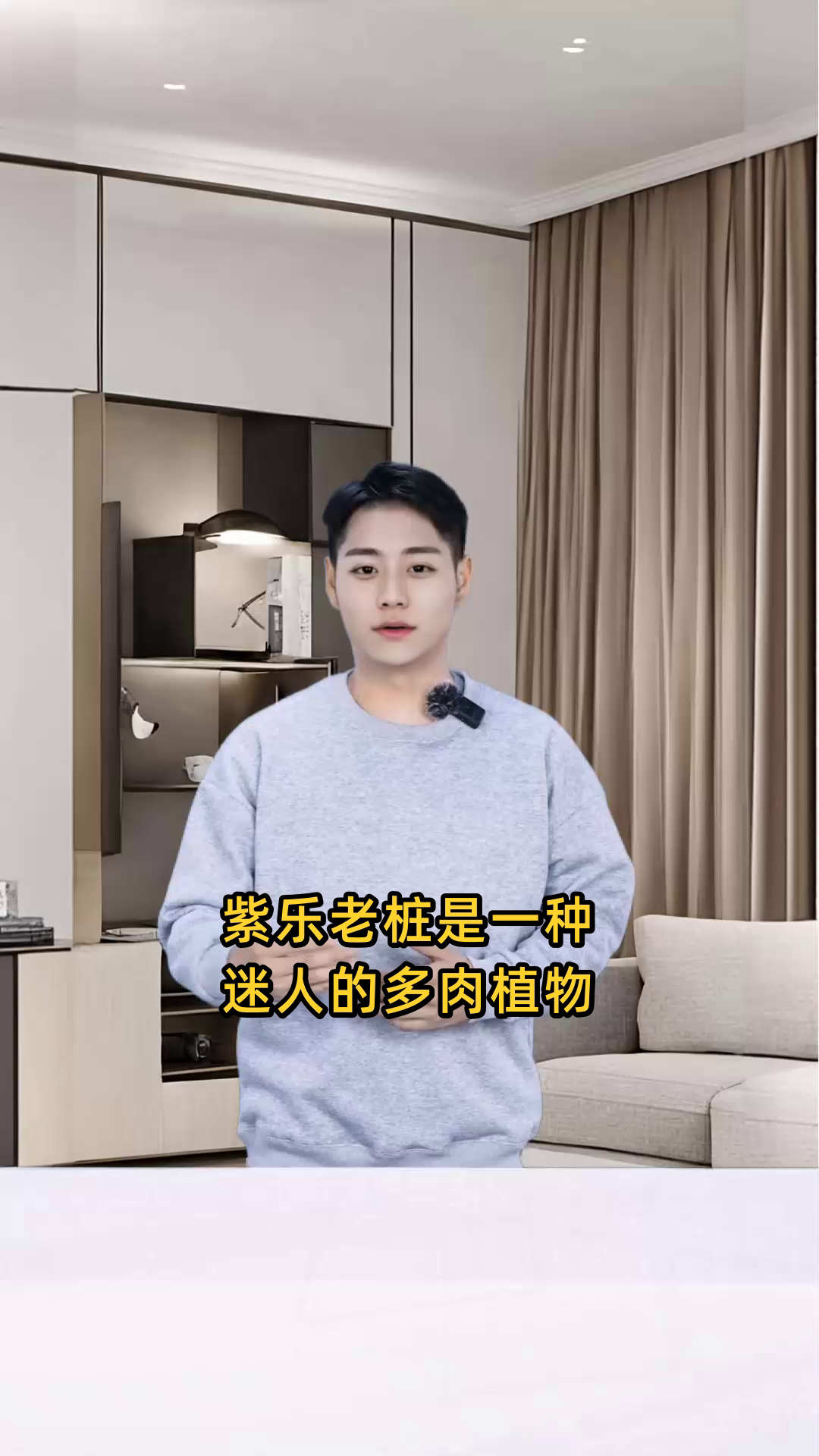 紫乐老桩多肉植物的特点、养护方法及繁殖技巧是什么?