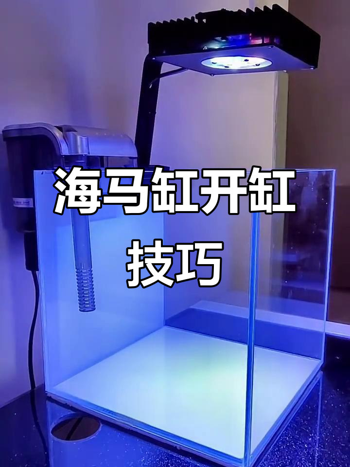 小巧海马缸开缸全攻略，盐度控制与细节处理
