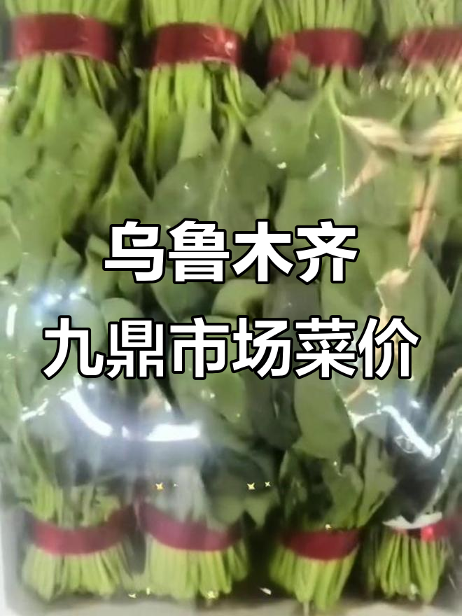新疆九鼎市场4月蔬菜价格大揭秘