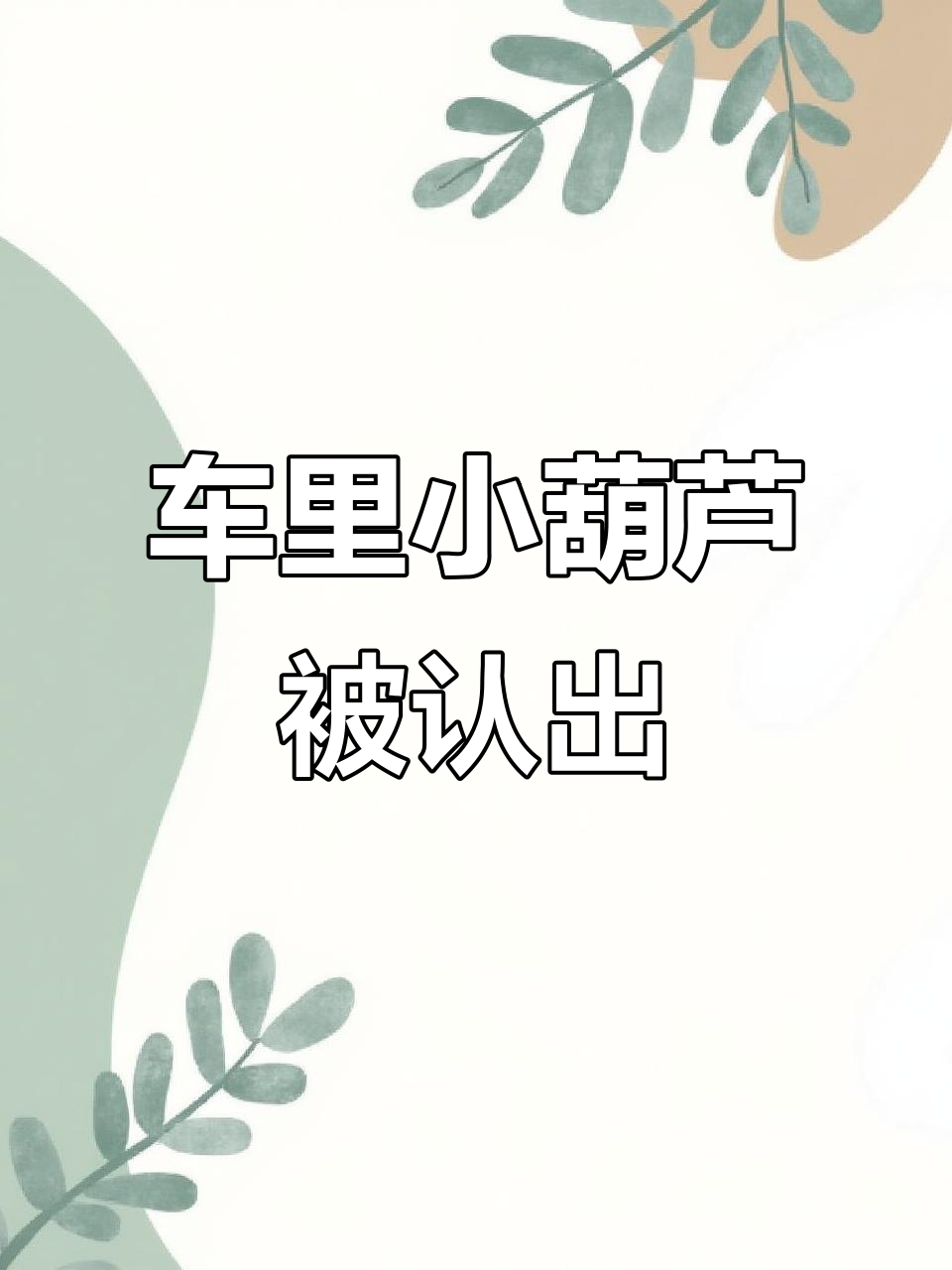 司机等了一年,终于有人注意到车里的葫芦娃!