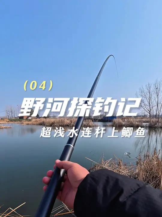 早春低温钓鲫鱼 春天在艳阳高照的大晴天,草滩作钓有意想不到的收获