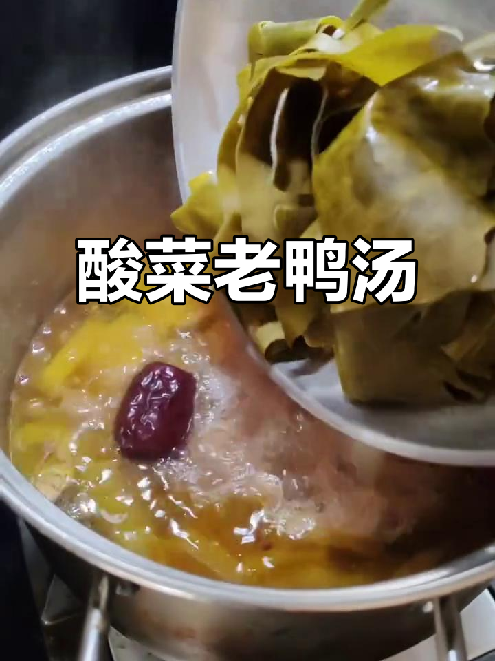 老鸭汤炖酸菜，口感鲜美又解暑