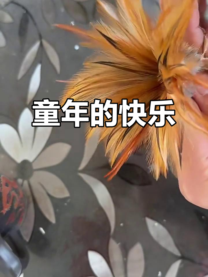 童年时光,鸡毛毽子伴我们成长,简单却充满乐趣!