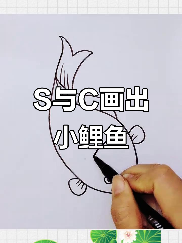 用S和C画可爱小鲤鱼,简单又好玩