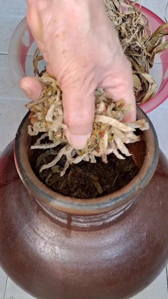 四川干咸菜 芋头丝 妈呀太香了