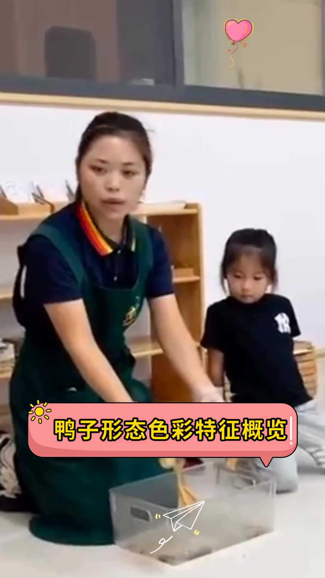 鸭子形态色彩特征概览