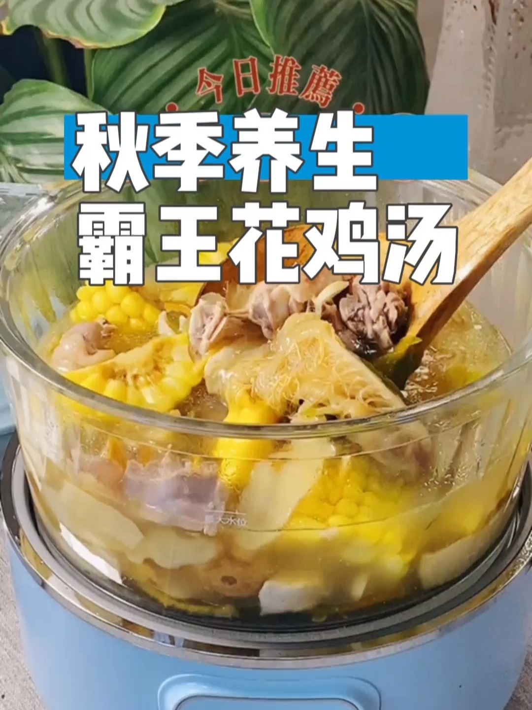 秋季养生霸王花鸡汤养生季来啦